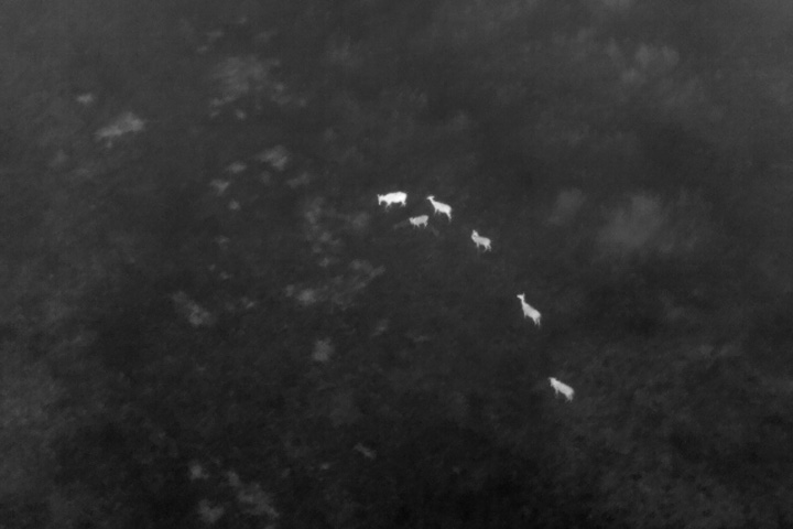 Aerial Surveillance — 24/7